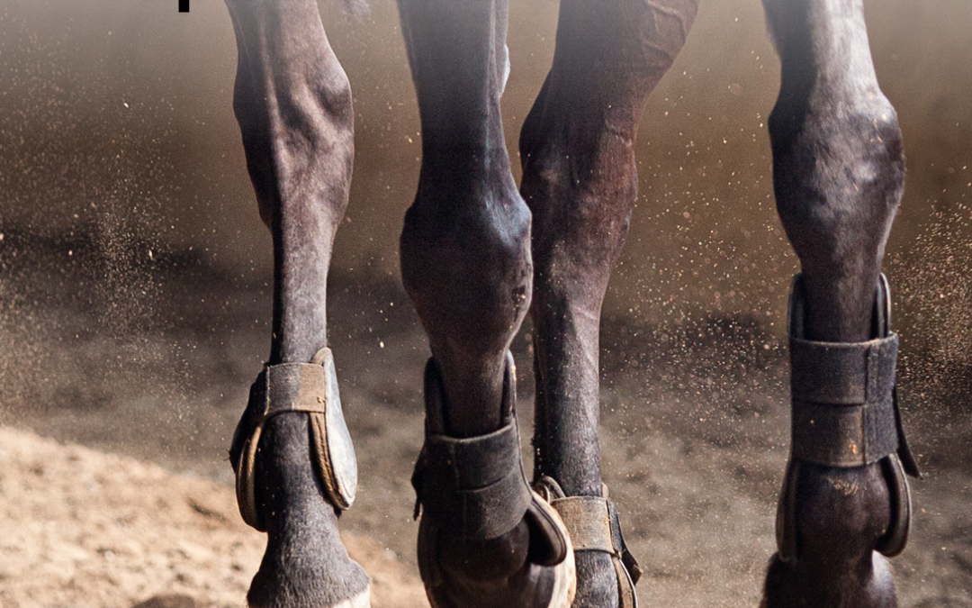 Tulisitko vapaaehtoiseksi kilpailuihin?